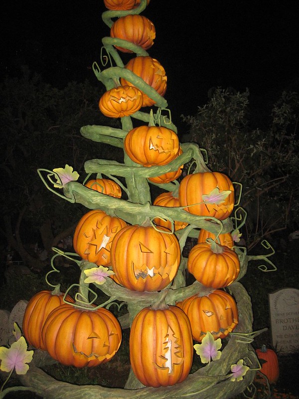 Orange Shade: 10 Totally Top-Heavy Pumpkin Trees