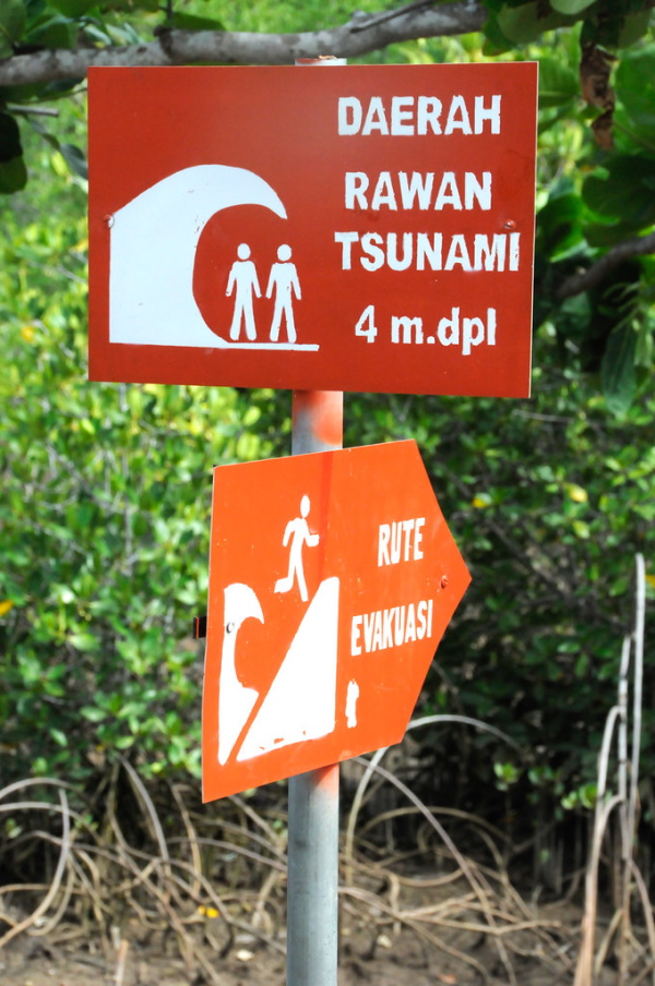 It’s A Tidalist: 10 Wet & Wild Tsunami Warning Signs