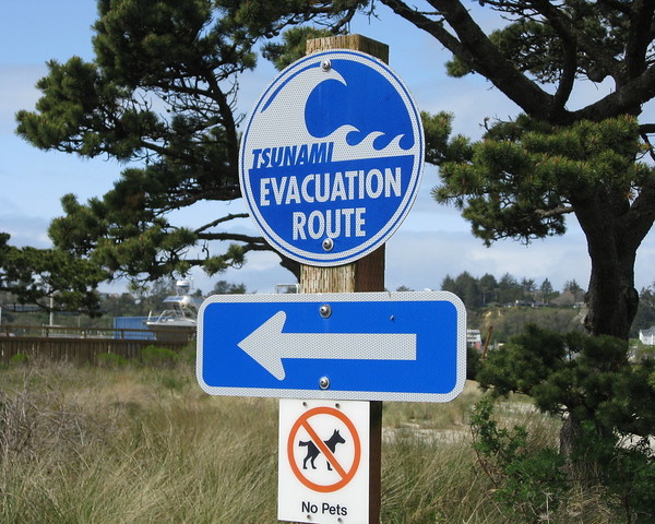It’s A Tidalist: 10 Wet & Wild Tsunami Warning Signs