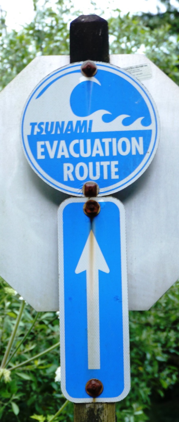 It’s A Tidalist: 10 Wet & Wild Tsunami Warning Signs