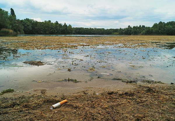 Littoral Litter: Toxic Beach Trash By The Numbers