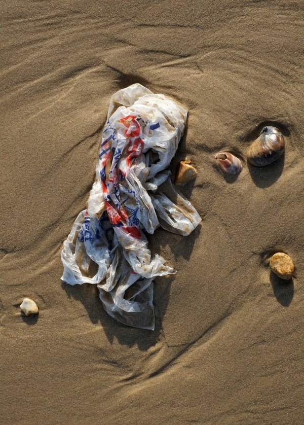 Littoral Litter: Toxic Beach Trash By The Numbers