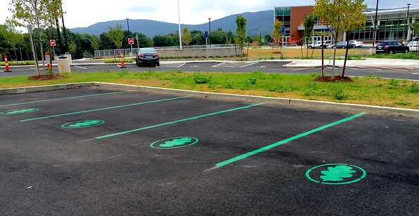 Locked Anoded: 7 Hybrid Vehicle Parking Signs