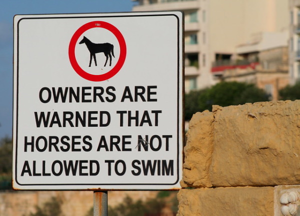 Don’t Tread In Me: 10 Nifty ‘No Swimming’ Signs