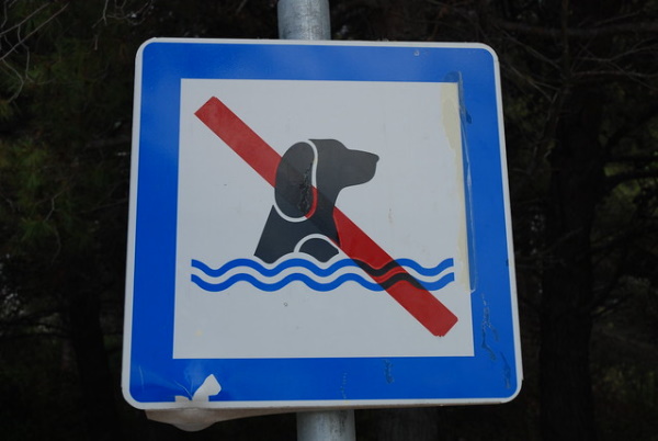 Don’t Tread In Me: 10 Nifty ‘No Swimming’ Signs