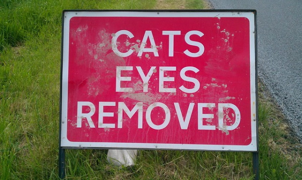Last Warning: 12 Bizarre ‘Signs’ Of The Coming Apocalypse
