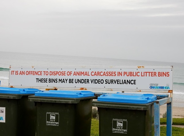 Last Warning: 12 Bizarre ‘Signs’ Of The Coming Apocalypse