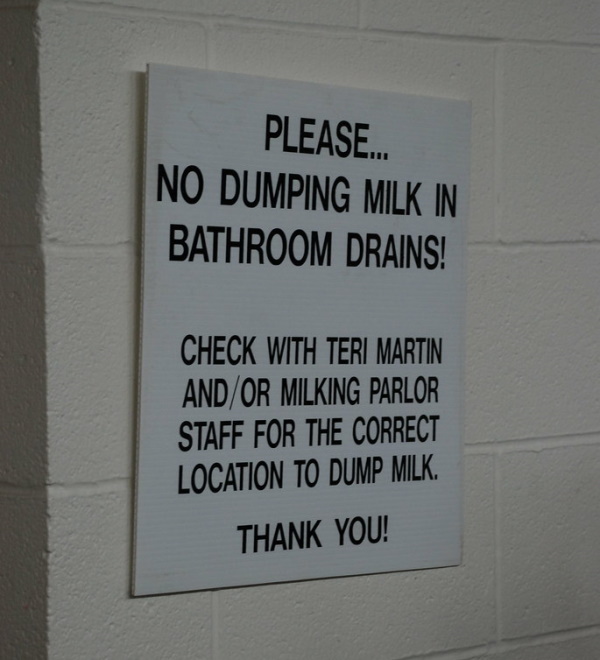 Dump Luck: 10 Indispensable ‘No Dumping’ Signs