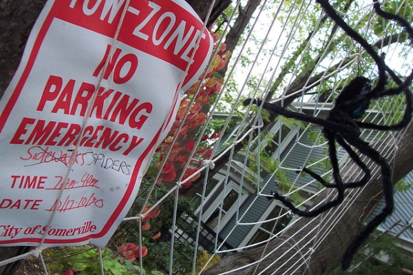 Web Beware: 7 Fang-tastic Spider Signs