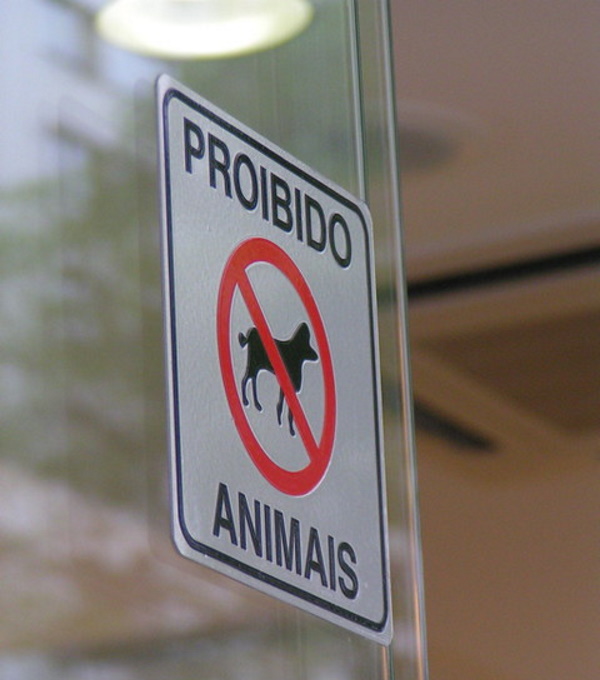 Fur Bidden: 10 Notable ‘No Animals’ Allowed Signs
