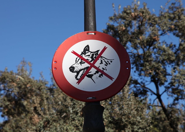 Fur Bidden: 10 Notable ‘No Animals’ Allowed Signs