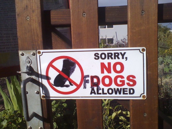 Fur Bidden: 10 Notable ‘No Animals’ Allowed Signs