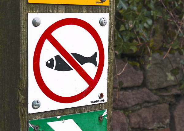 Fur Bidden: 10 Notable ‘No Animals’ Allowed Signs