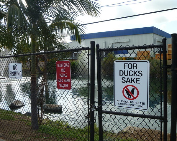 Fur Bidden: 10 Notable ‘No Animals’ Allowed Signs