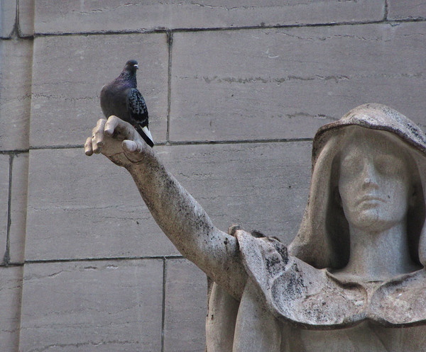 Bird Brained: 7 Amazing Statues Conquered By Pigeons
