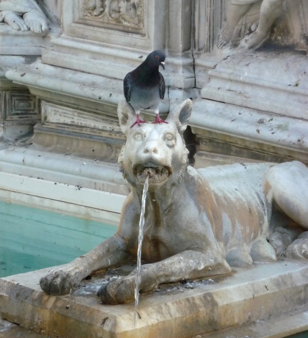 Bird Brained: 7 Amazing Statues Conquered By Pigeons
