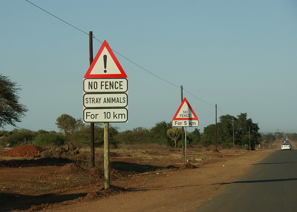 Off Fence: 8 Way Out There ‘Stray Animals’ Signs
