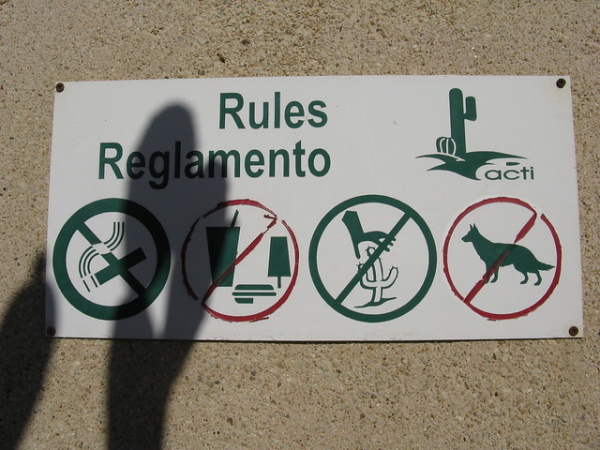 Prickly Wiggly: 10 Spine-Tingling Cactus Warning Signs