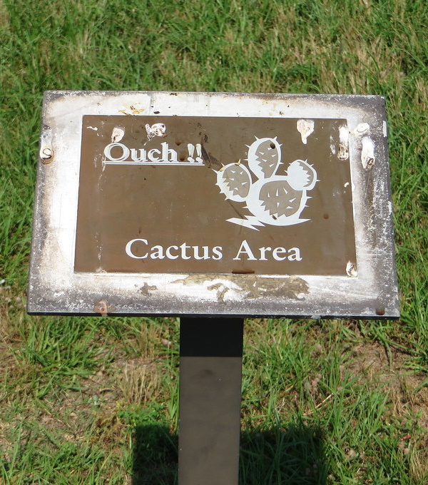Prickly Wiggly: 10 Spine-Tingling Cactus Warning Signs