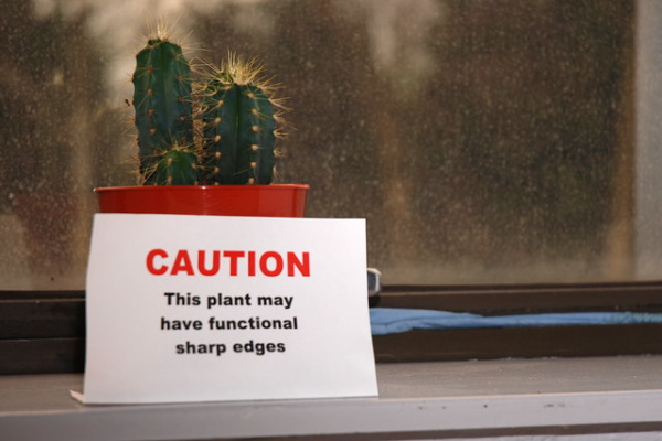 Prickly Wiggly: 10 Spine-Tingling Cactus Warning Signs