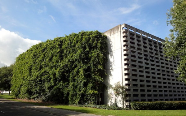 Vine Driving: 10 More Overgrown Abandoned Vehicles