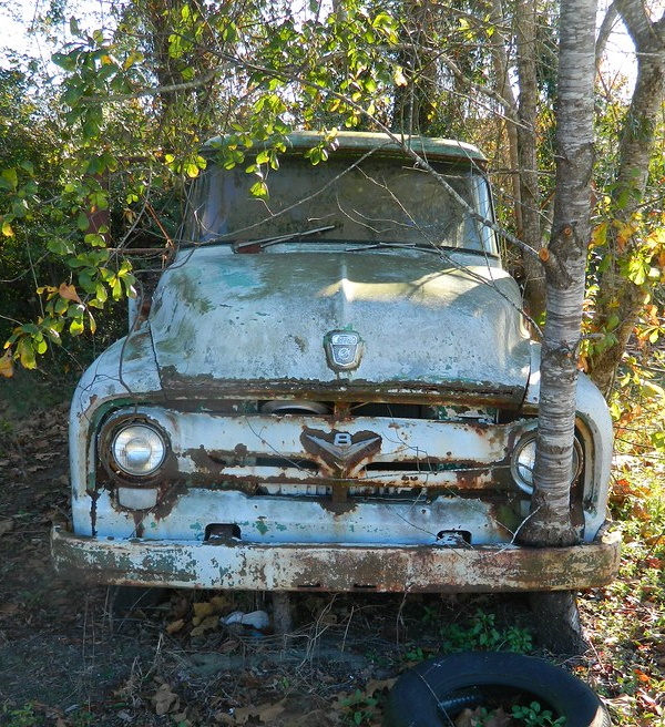 Vine Driving: 10 More Overgrown Abandoned Vehicles