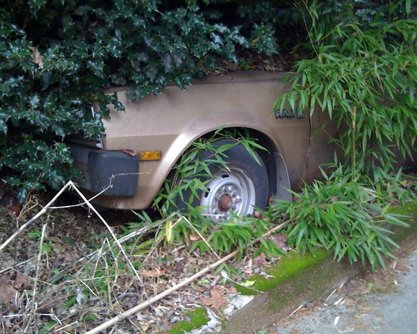 Vine Driving: 10 More Overgrown Abandoned Vehicles