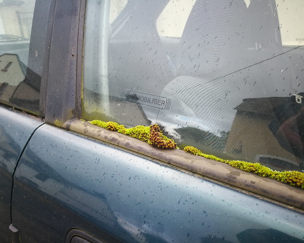 Vine Driving: 10 More Overgrown Abandoned Vehicles