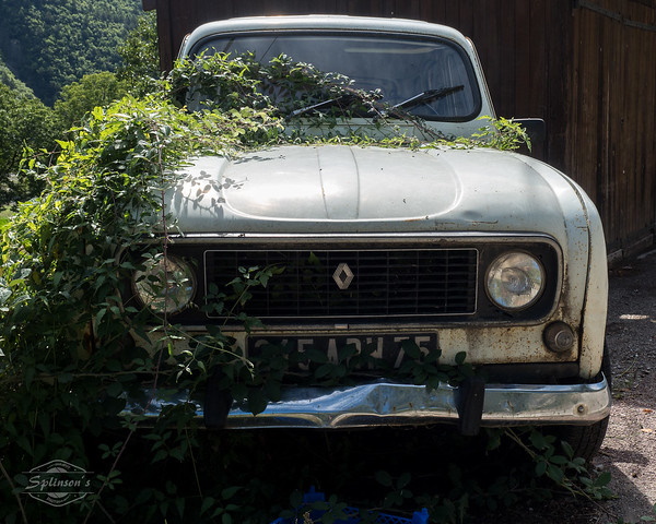 Vine Driving: 10 More Overgrown Abandoned Vehicles