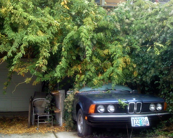 Vine Driving: 10 More Overgrown Abandoned Vehicles