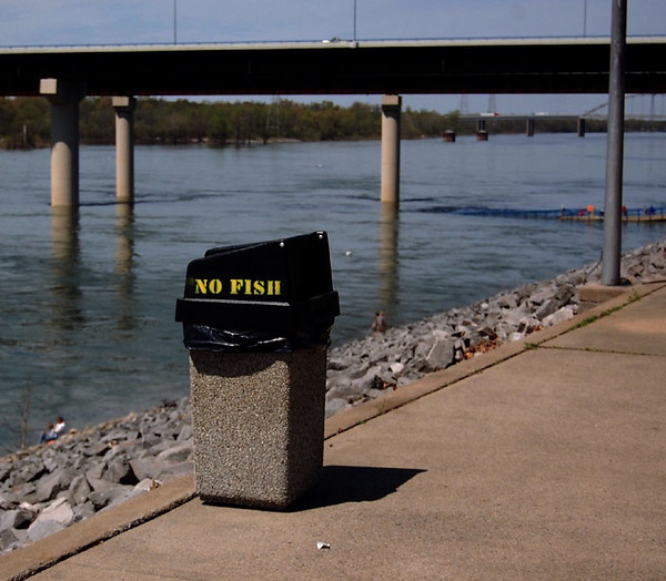 Off The Hook: 10 Reel Cool ‘No Fishing’ Signs