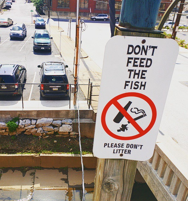 Off The Hook: 10 Reel Cool ‘No Fishing’ Signs