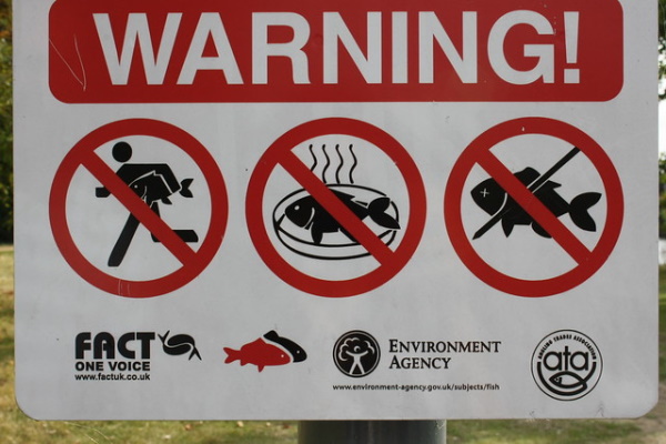 Off The Hook: 10 Reel Cool ‘No Fishing’ Signs