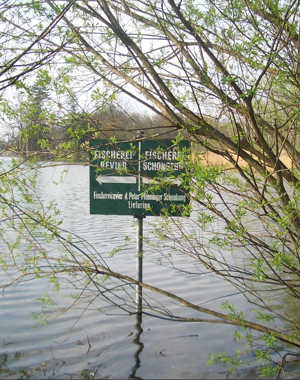 Off The Hook: 10 Reel Cool ‘No Fishing’ Signs
