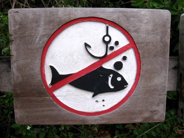 Off The Hook: 10 Reel Cool ‘No Fishing’ Signs