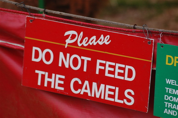 Beast Ala Mode: 10 ‘Do Not Feed The Animals’ Signs