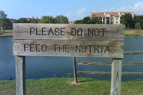 Beast Ala Mode: 10 ‘Do Not Feed The Animals’ Signs