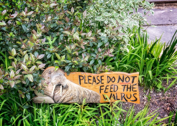 Beast Ala Mode: 10 ‘Do Not Feed The Animals’ Signs