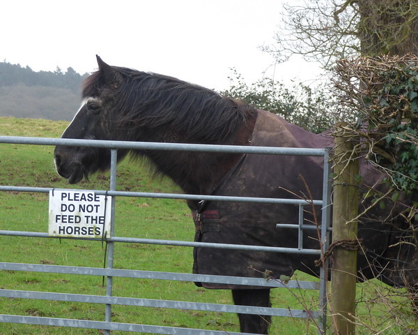 Beast Ala Mode: 10 ‘Do Not Feed The Animals’ Signs