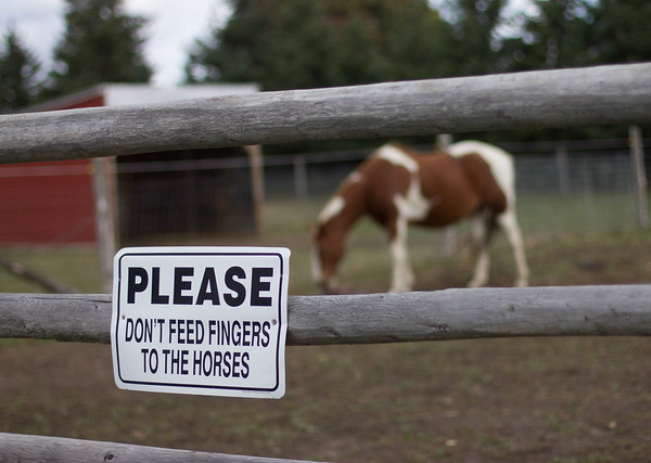 Beast Ala Mode: 10 ‘Do Not Feed The Animals’ Signs