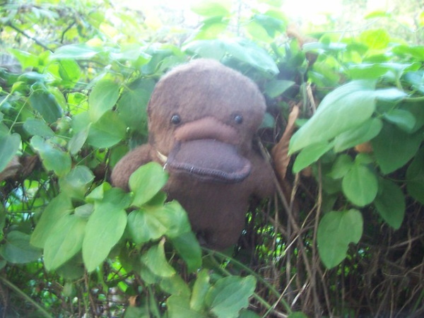 Plush Wounds: 10 Creepy Cute Animal Plushies