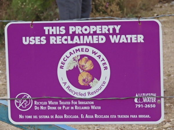 Liquid Dated: 10 Wet, Wild & Worrisome Water Signs