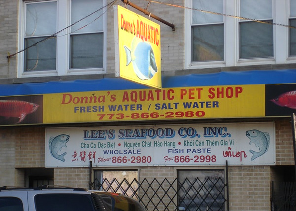 Love Fur Sale: 10 Non-Dogmatic Pet Shop Signs