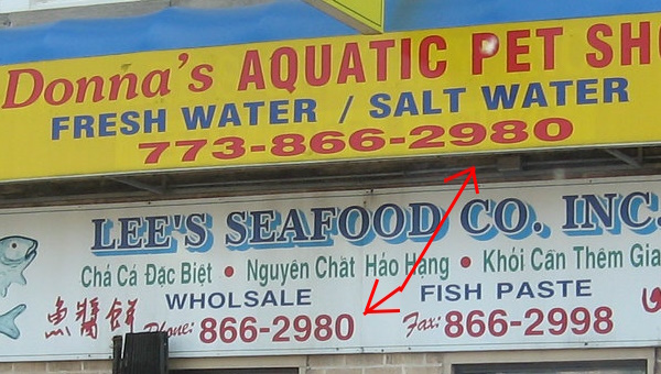 Love Fur Sale: 10 Non-Dogmatic Pet Shop Signs