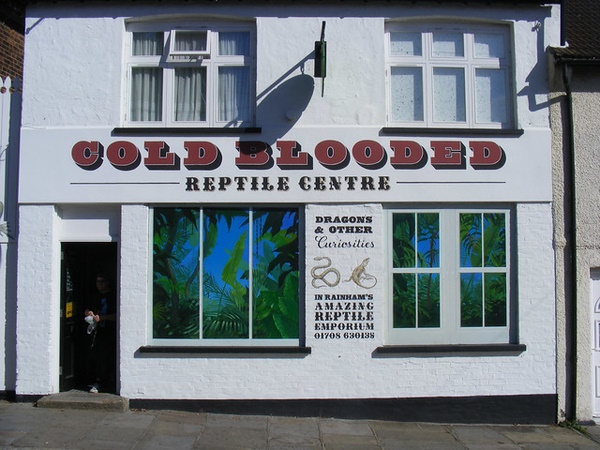 Love Fur Sale: 10 Non-Dogmatic Pet Shop Signs