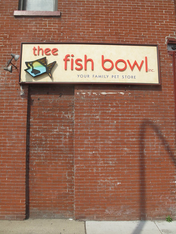 Love Fur Sale: 10 Non-Dogmatic Pet Shop Signs