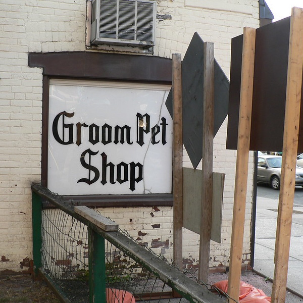 Love Fur Sale: 10 Non-Dogmatic Pet Shop Signs