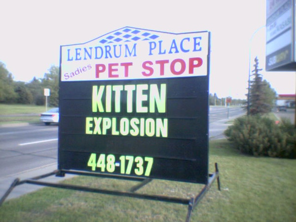 Love Fur Sale: 10 Non-Dogmatic Pet Shop Signs