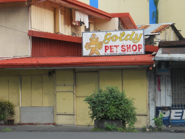 Love Fur Sale: 10 Non-Dogmatic Pet Shop Signs