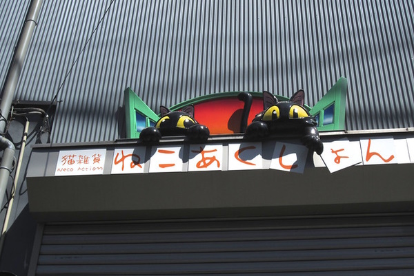 Love Fur Sale: 10 Non-Dogmatic Pet Shop Signs